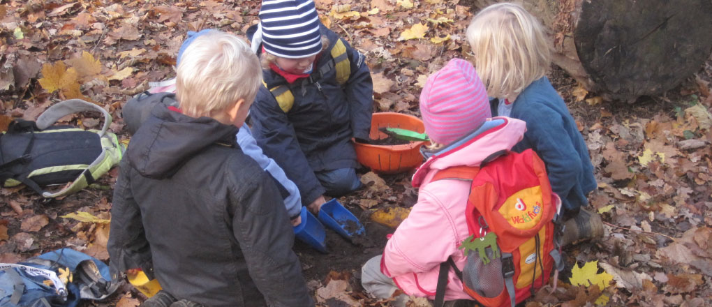 Waldkindergarten - Eidechse